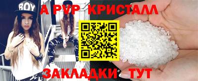СК Пугачёв
