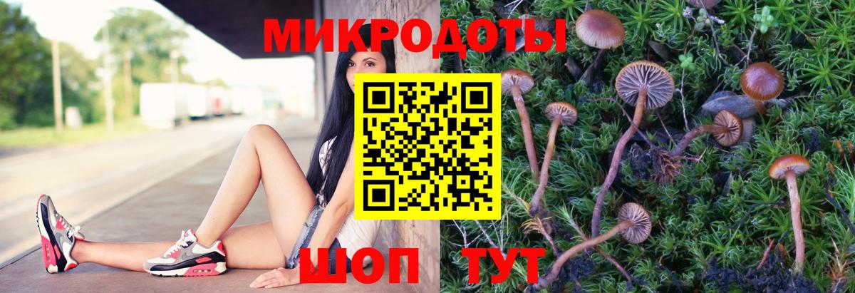 Псилоцибиновые грибы мухоморы  Вход с VPN  Нижнеудинск 