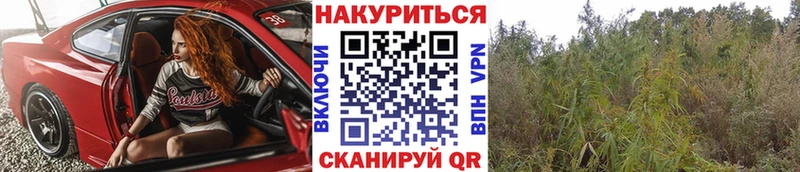мега маркетплейс  Нижнеудинск  МАРИХУАНА тримм 