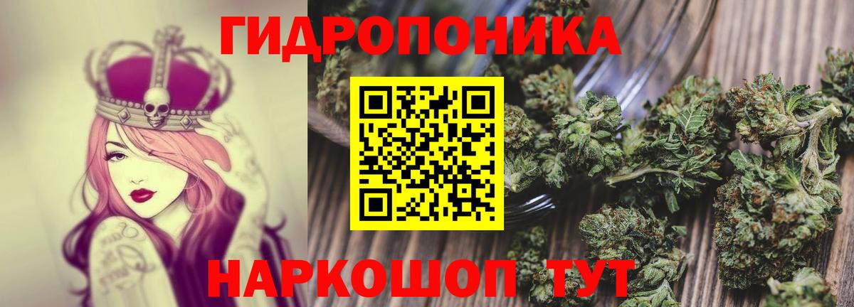 Бошки Шишки индика  Вход с VPN  Конопля ГИДРОПОН  Нижнеудинск  Бошки марихуана тримм  Марихуана гибрид 